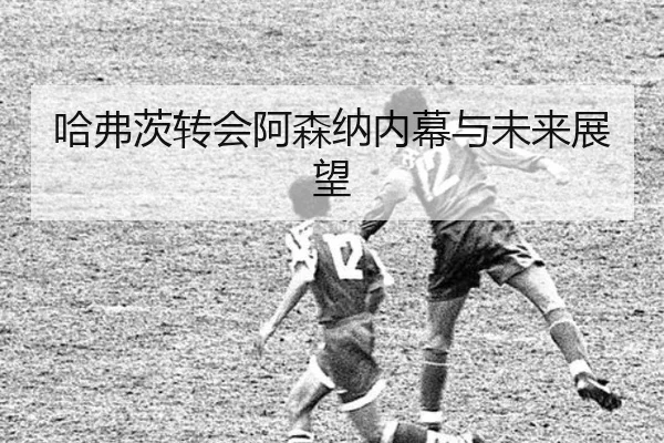 ha-fu-ci-zhuan-hui-a-sen-na-nei-mu-yu-wei-lai-zhan-wang-2-589.jpg